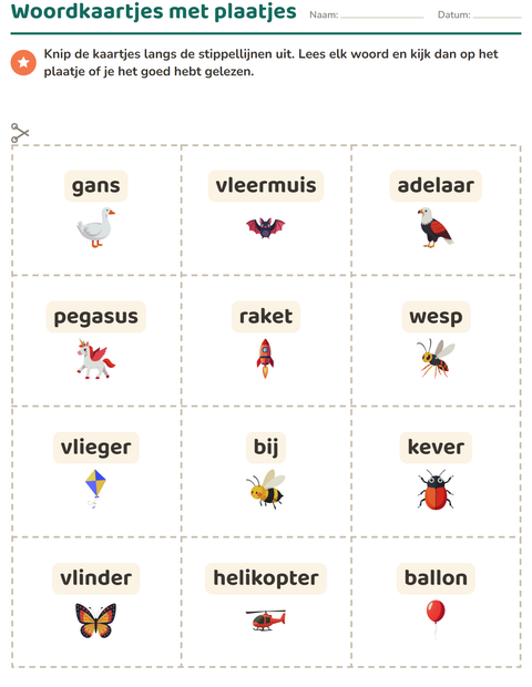 Voorbeeld van het Woordkaartjes-werkblad met Dingen die vliegen voor kleuterklas