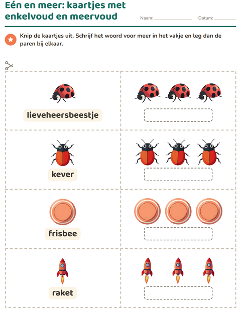Voorbeeld van het Woordkaartjes-werkblad met Dingen die vliegen voor kleuterklas