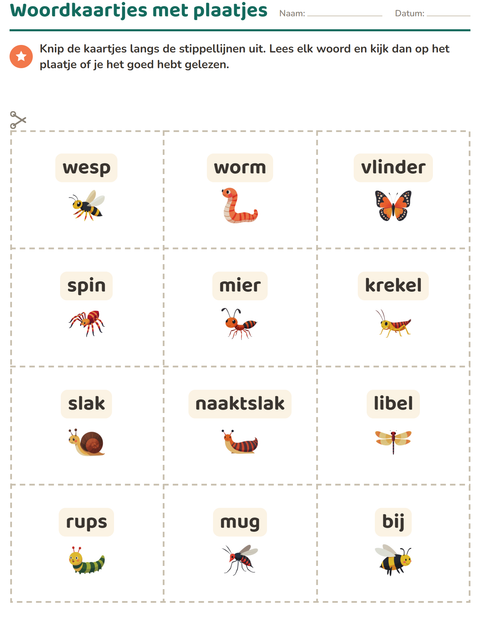 Voorbeeld van het Woordkaartjes-werkblad met Insecten en beestjes voor kleuterklas