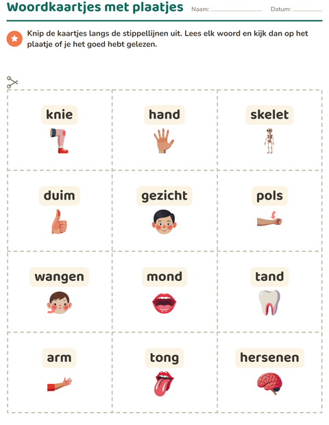 Voorbeeld van het Woordkaartjes-werkblad met Lichaamsdelen voor kleuterklas