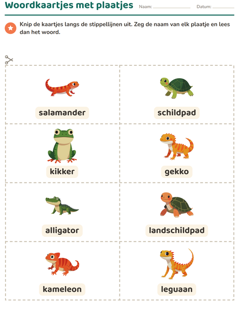 Voorbeeld van het Woordkaartjes-werkblad met Reptielen en amfibieën voor kleuterklas