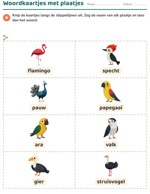 Voorbeeld van het Woordkaartjes-werkblad met Vogels 2 voor kleuterklas