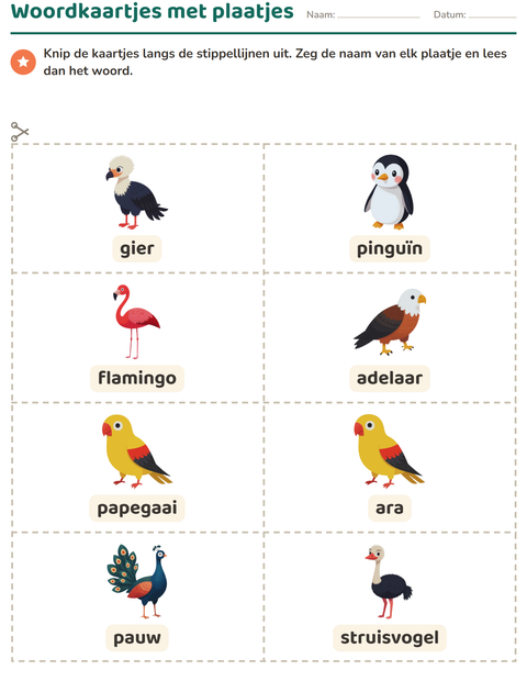 Voorbeeld van het Woordkaartjes-werkblad met Vogels voor kleuterklas