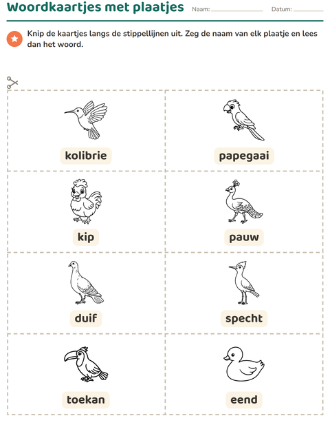 Voorbeeld van het Woordkaartjes-werkblad met Vogels Z&W voor kleuterklas
