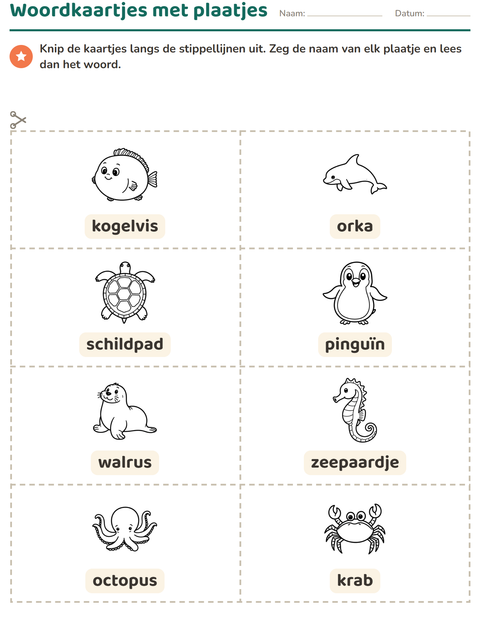 Voorbeeld van het Woordkaartjes-werkblad met Zeeleven ZW voor kleuterklas