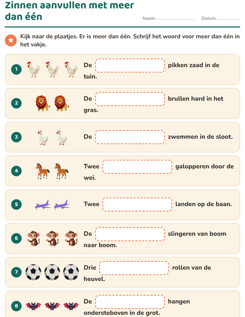 Zinnen aanvullen: schrijf het woord voor meer dan één
