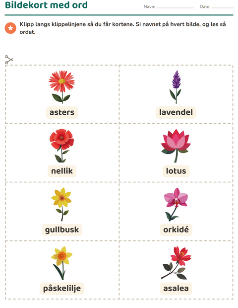 Forhåndsvisning av Bildekort-arbeidsark med Blomster for Barnehage (5-7 år)