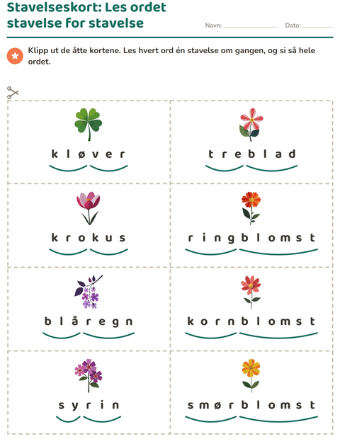Forhåndsvisning av Bildekort-arbeidsark med Blomster for 1. trinn