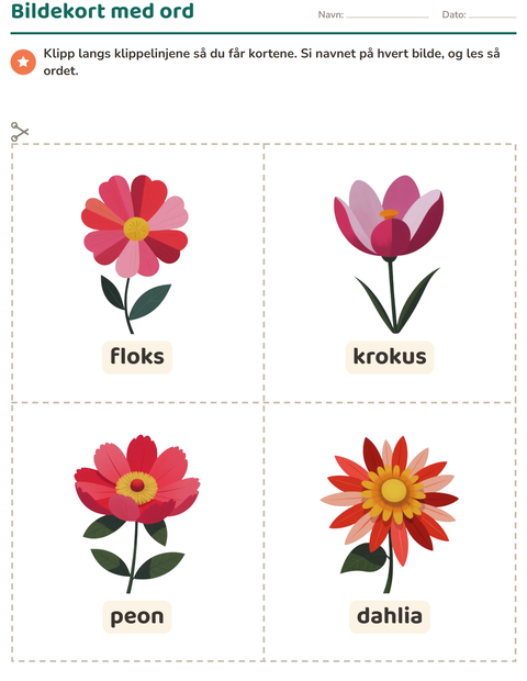 Forhåndsvisning av Bildekort-arbeidsark med Blomster for Barnehage (5-7 år)