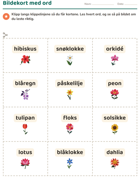 Forhåndsvisning av Bildekort-arbeidsark med Blomster for Barnehage (5-7 år)