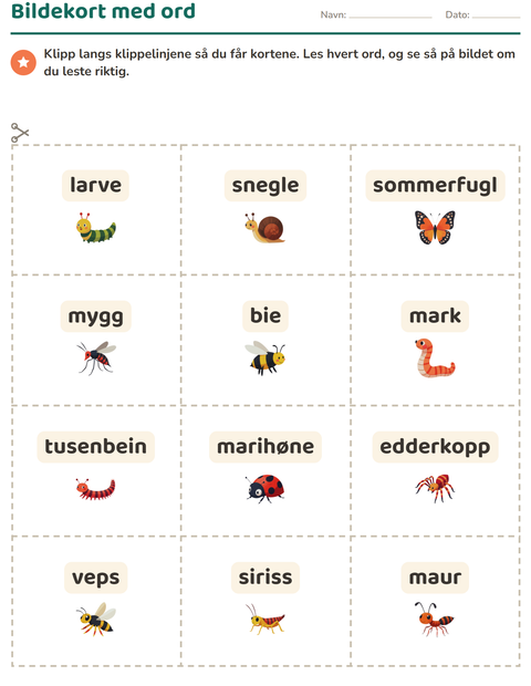 Forhåndsvisning av Bildekort-arbeidsark med Insekter og kryp for Barnehage (5-7 år)
