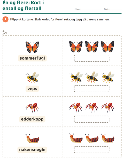 Forhåndsvisning av Bildekort-arbeidsark med Insekter og kryp for Barnehage (5-7 år)