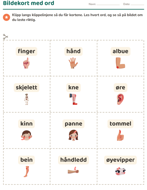 Forhåndsvisning av Bildekort-arbeidsark med Kroppsdeler for Barnehage (5-7 år)