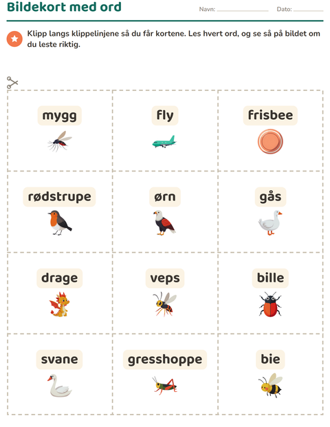 Forhåndsvisning av Bildekort-arbeidsark med Ting som flyr for Barnehage (5-7 år)