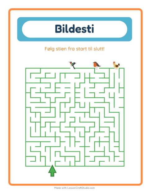 Forhåndsvisning av Bildevei-arbeidsark med Fugler 2 for Barnehage (5-7 år)
