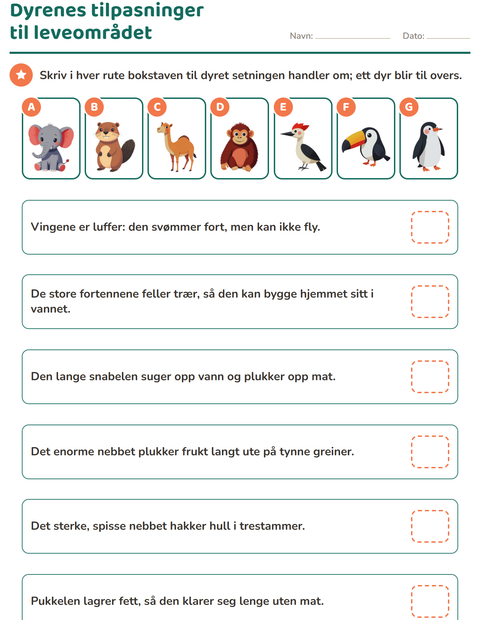 Dyrenes tilpasninger til leveområdet