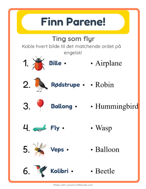 Engelsk bildematching – Ting som flyr