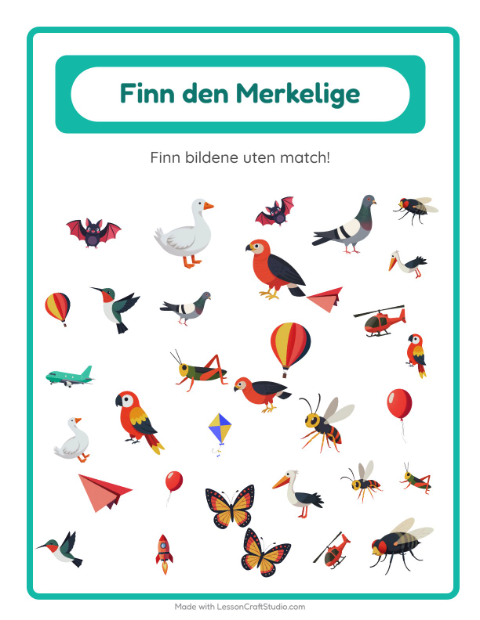 Forhåndsvisning av Finn Objektene-arbeidsark med Ting som flyr for Barnehage (5-7 år)