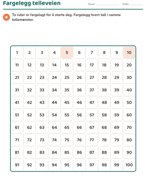 2. trinn Hundrerutenett