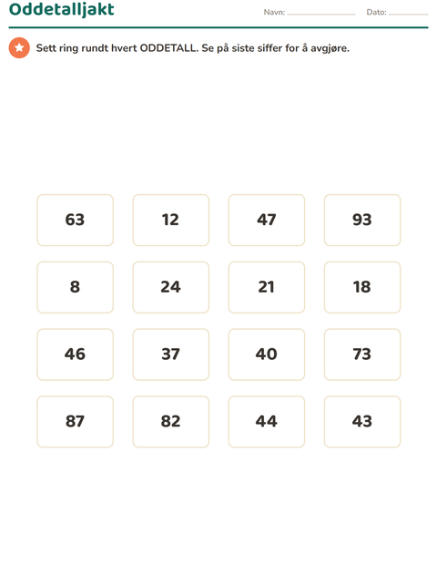 3. trinn Hundrerutenett