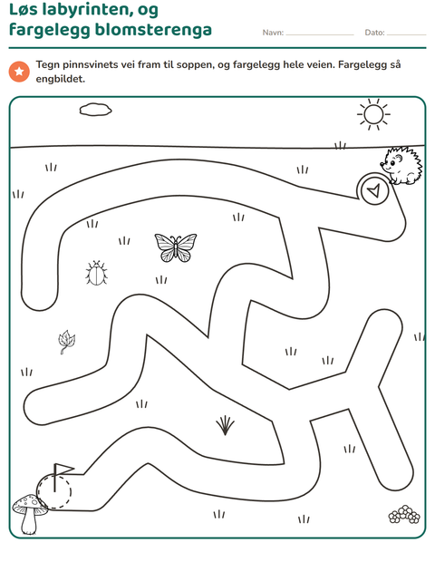 Forhåndsvisning av Labyrintoppgaver-arbeidsark for Barnehage (5-7 år)