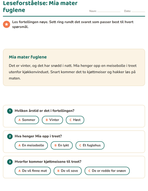 Leseforståelse: Mia mater fuglene – fortelling med spørsmål