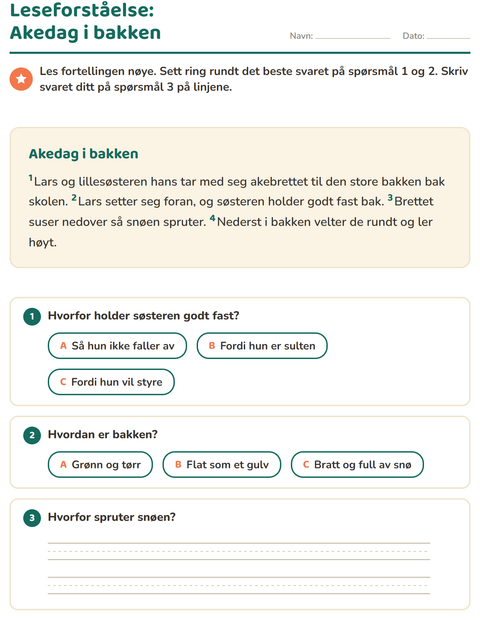 Forhåndsvisning av Leseforståelse-arbeidsark for 2. trinn