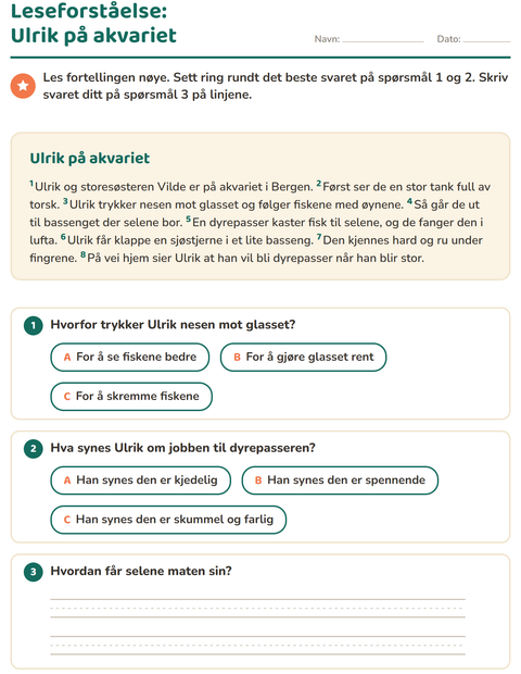 Forhåndsvisning av Leseforståelse-arbeidsark for 2. trinn