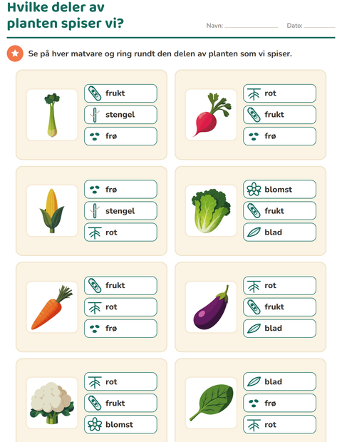 Hvilke deler av planten spiser vi?