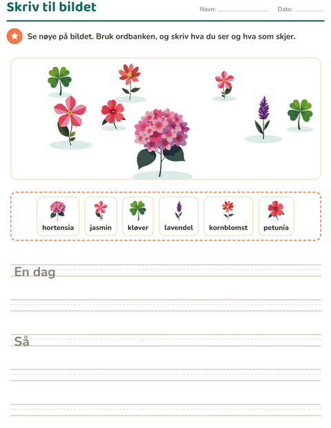 Forhåndsvisning av Skriv til bildet-arbeidsark med Blomster for 2. trinn