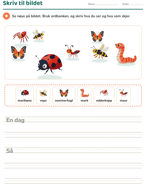 Forhåndsvisning av Skriv til bildet-arbeidsark med Insekter og kryp for 2. trinn