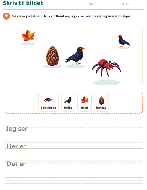 Forhåndsvisning av Skriv til bildet-arbeidsark med Diverse for 2. trinn