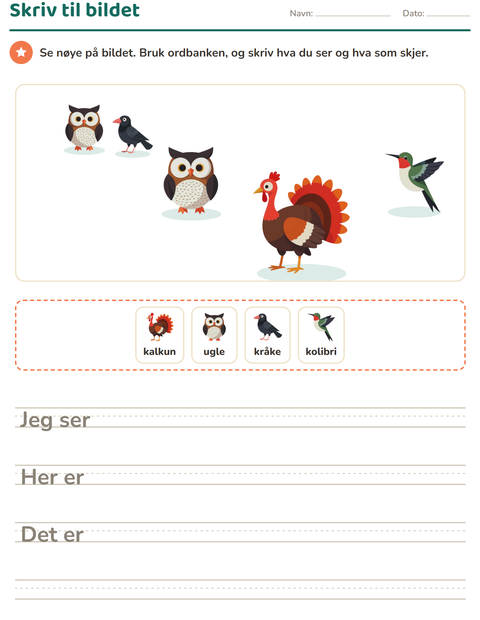 Forhåndsvisning av Skriv til bildet-arbeidsark med Fugler 2 for 2. trinn