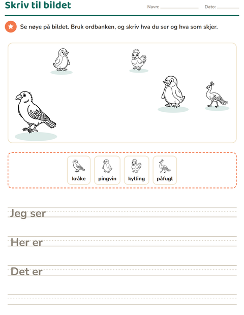 Forhåndsvisning av Skriv til bildet-arbeidsark med Fugler S&H for 2. trinn