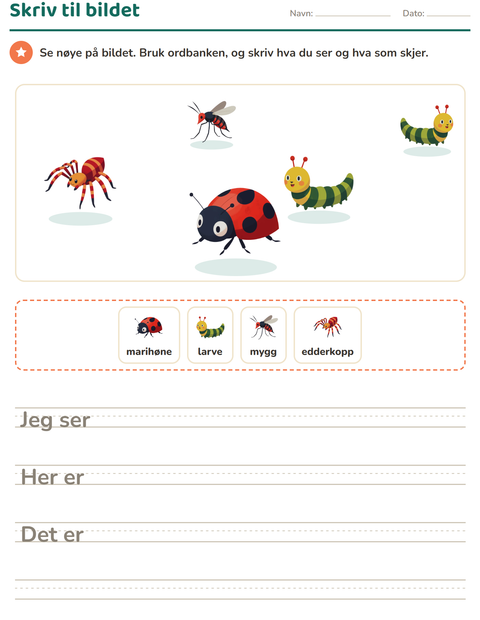 Forhåndsvisning av Skriv til bildet-arbeidsark med Insekter og kryp for 2. trinn