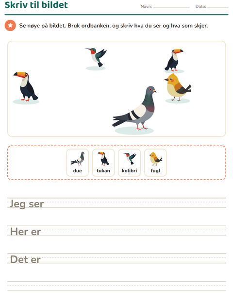 Forhåndsvisning av Skriv til bildet-arbeidsark med Ting som flyr for 2. trinn
