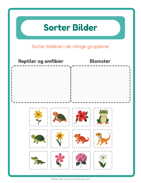 Forhåndsvisning av Sorter Bilder-arbeidsark for Barnehage (5-7 år)