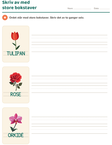 Forhåndsvisning av Spor ord-arbeidsark med Blomster for Barnehage (5-7 år)