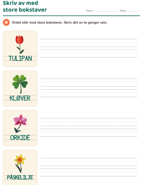 Forhåndsvisning av Spor ord-arbeidsark med Blomster for Barnehage (5-7 år)