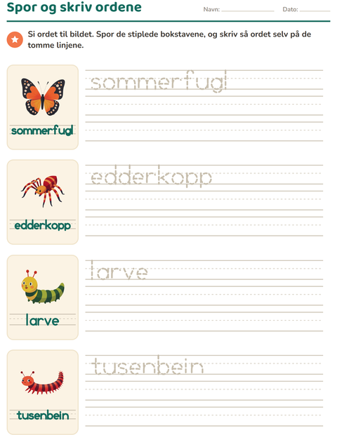 Forhåndsvisning av Spor ord-arbeidsark med Insekter og kryp for Barnehage (5-7 år)