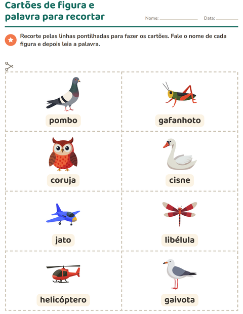Pré-visualização da ficha de Cartões de figura e palavra com Coisas que voam para Educação infantil (pré-escola, 5-7 anos)