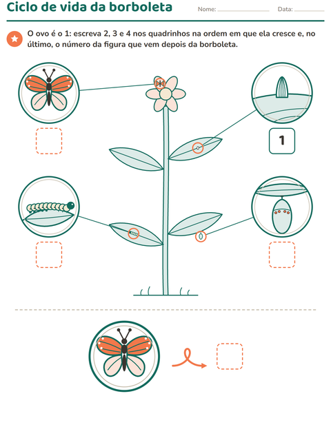 Ciclo de vida da borboleta: ovo, lagarta, crisálida e borboleta