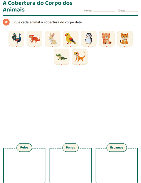Pré-visualização da ficha de Classificar em Ciências para 1º ano do ensino fundamental
