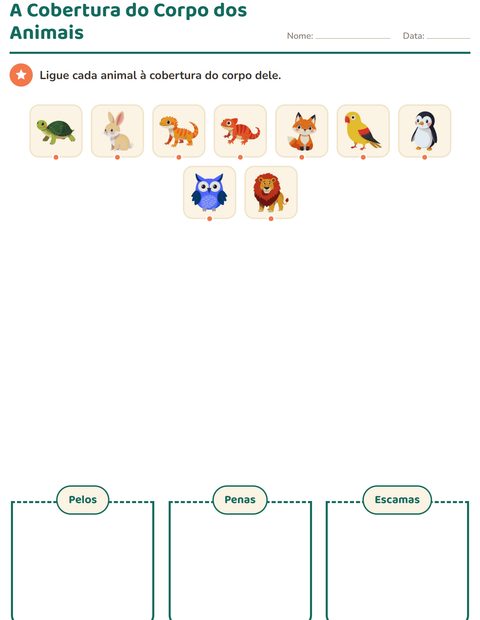 Pré-visualização da ficha de Classificar em Ciências para 1º ano do ensino fundamental