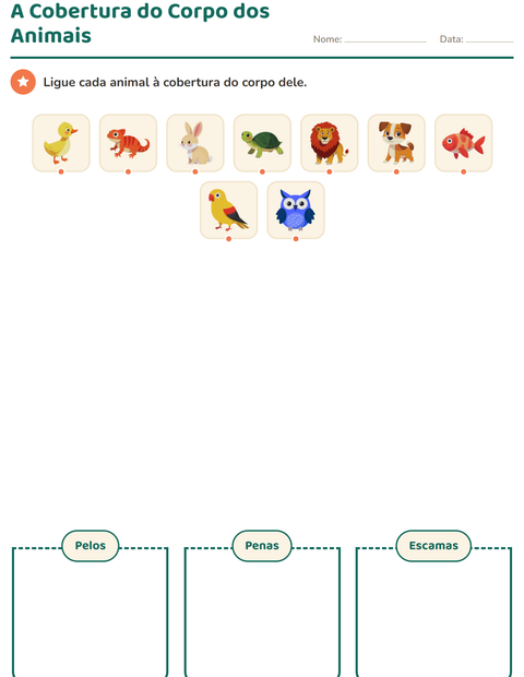 Pré-visualização da ficha de Classificar em Ciências para 1º ano do ensino fundamental