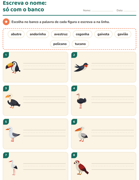 Pré-visualização da ficha de Escreva o nome da figura com Pássaros 2 para 1º ano do ensino fundamental