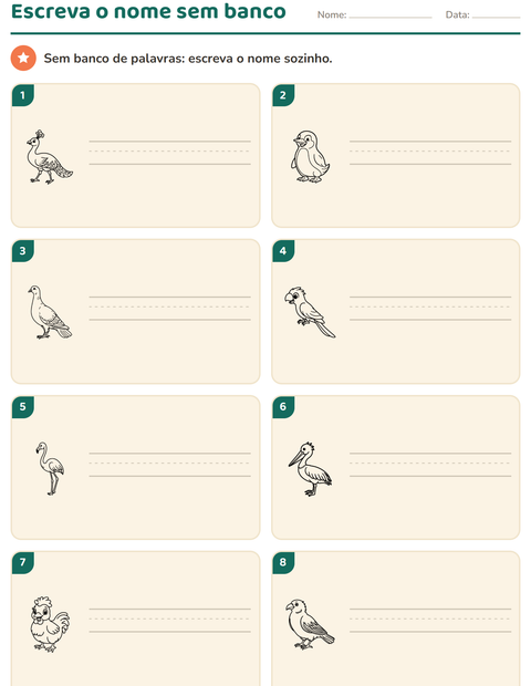Pré-visualização da ficha de Escreva o nome da figura com Pássaros P&B para 1º ano do ensino fundamental