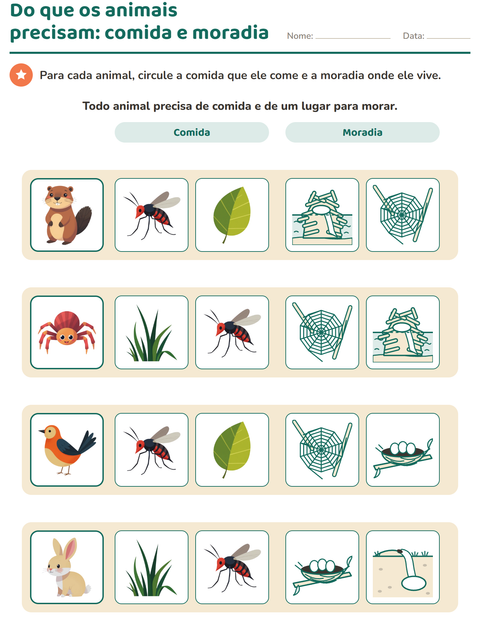 Prévia: Do que os animais precisam: comida e moradia