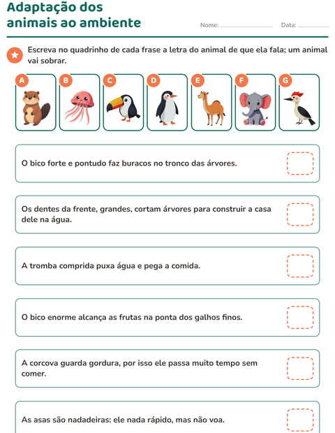 Adaptação dos animais ao ambiente