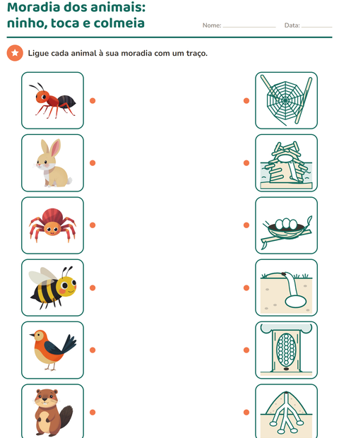 habitat-dos-animais-k383